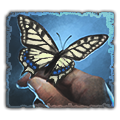 Compassionate Papilio Machaon.png Compassionate Papilio Machaon.png